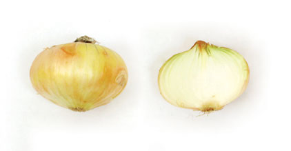 vitaminas de la cebolla